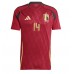 Belgium Dodi Lukebakio #14 Replica Home Shirt Euro 2024 Short Sleeve